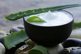 Aloe Vera Cream