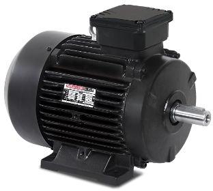 0.09Kw - 355Kw Havells Low Tension Motor