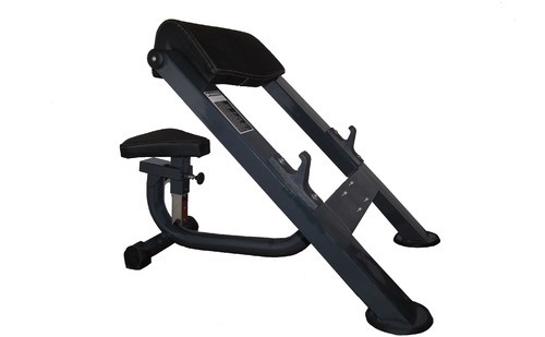 Preacher Curl Bench