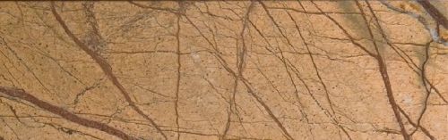 Forest Gold Marble, Size : 30 X 30 Cm, 30 X 60 Cm, 40 X 40 Cm