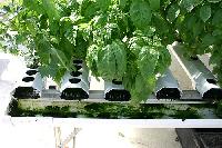 Plastic Manual Hydroponic Systems