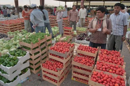 Fresh vegetables, Cultivation Type : Organic
