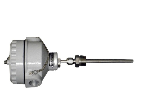 Flameproof RTD Sensors