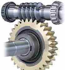 Worm Gear Assembly