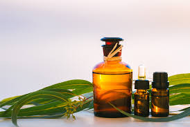 Eucalyptus oil, Packaging Type : Glass Bottle