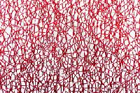 Nylon Mesh Nets, Thickness : 0-5mm, Weave Style : Welded