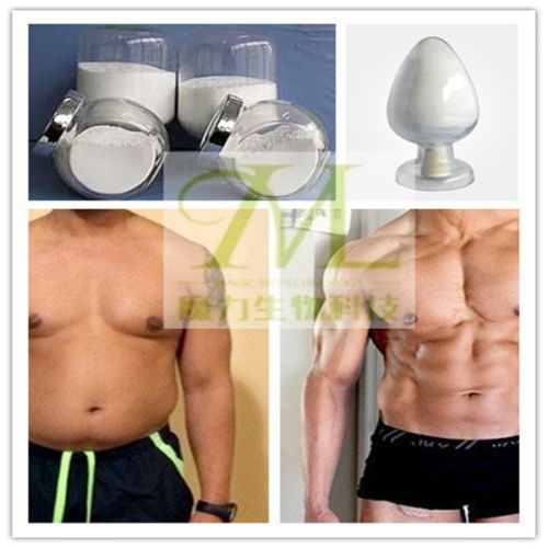 L-Thyroxine T4 Powder