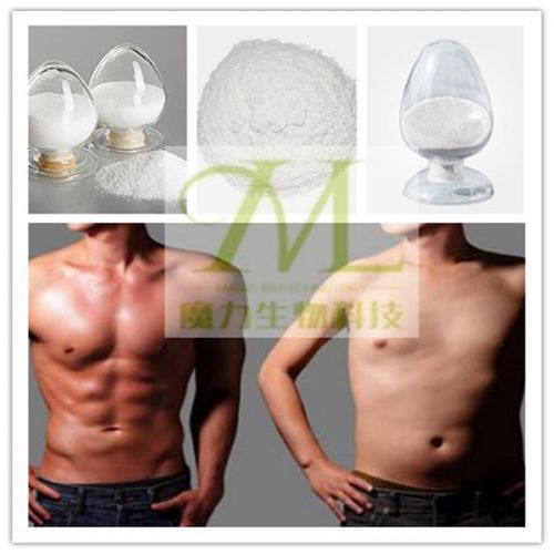 L-triiodothyronine T3 Powder