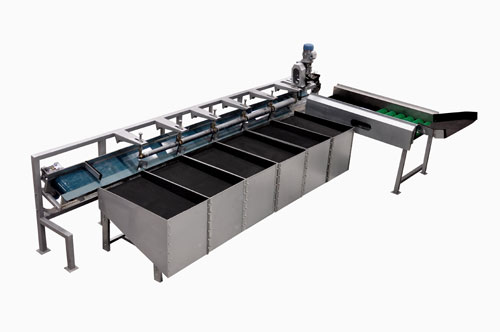 Type 1 Apple Grading Machine