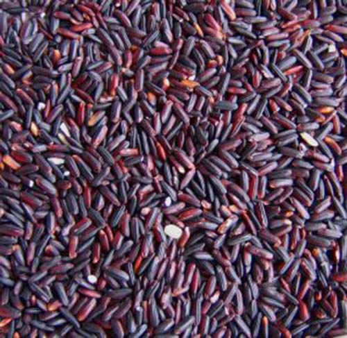 Purple Rice