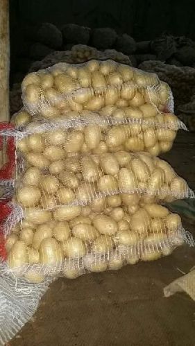 Potatoes, Country of Origin : India
