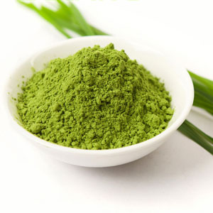 Wheatgrass Powder