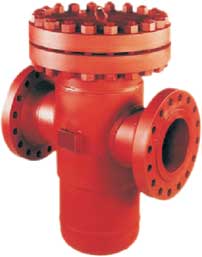 Basket Type Strainer