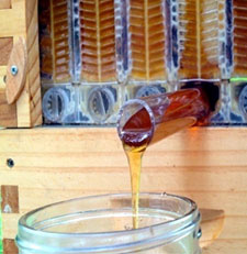 Raw Honey