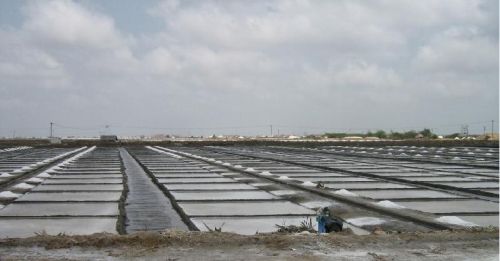 KMPS Edible Salt, Color : White