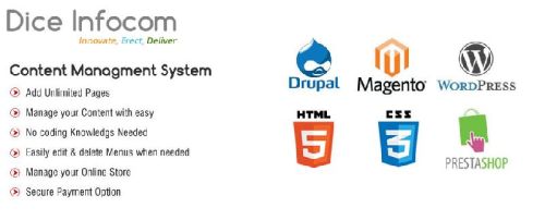 Web Development In Jaipur