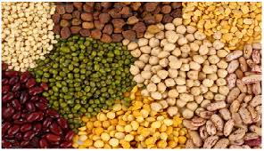 Indian Pulses