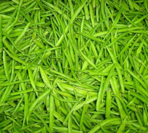 Organic Fresh Cluster Beans, For Cooking, Packaging Type : Jute Bag