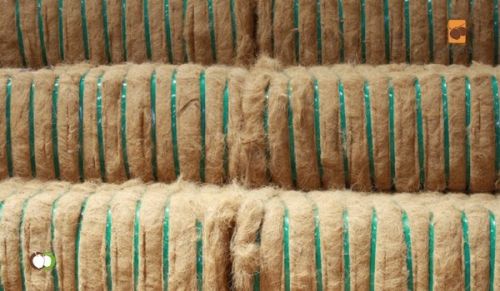 Coco Peat Products, Color : Golden/yellow