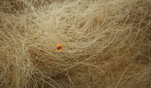 Coir Fibre Bales