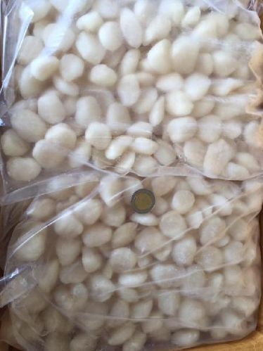 Frozen Scallop Meat