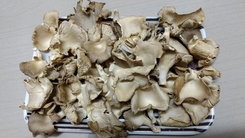 Dried mushroom