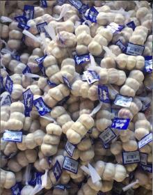 Fresh garlic, Storage : Cool, Dry Place