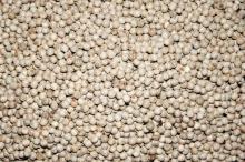 White Pepper, Packaging Type : Plastic Packet, Plastic Bag