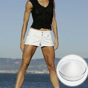 Eurycoma Longifolia Jack