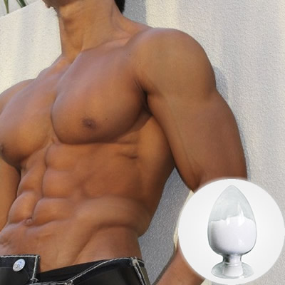 Testosterone Undecanoate