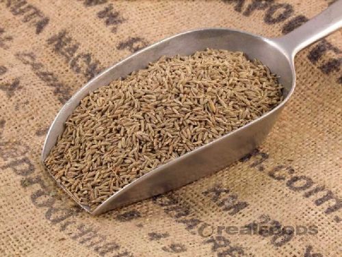 Cumin seeds, Packaging Type : PP Bags