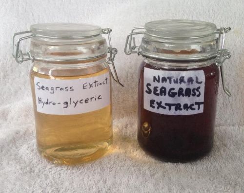 Organic Seagrass Extract Liquid For Skin Care, Packaging Size : 1kg