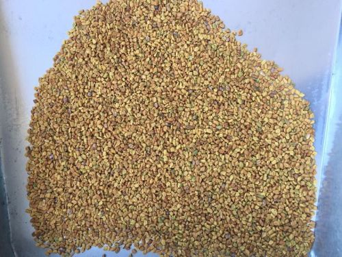 Colombo Quality Fenugreek Seeds, Packaging Type : 15, 20, 25, 50 Kg PP Bag