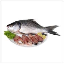 Catla Fish, For Cooking, Human Consumption, Packaging Type : Plastic Crates, Thermocole Box, Vaccum Packed