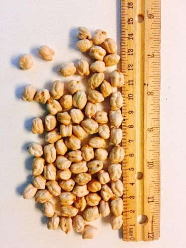 Kabuli Chickpeas, Packaging Type : 25kg, 50kg bags