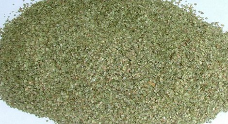 Sweet Marjoram Herbs