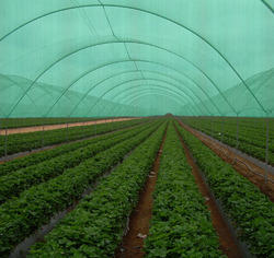 Agro Shade Net