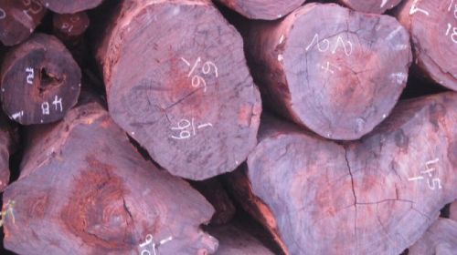Red Sal Wood, Thickness : 25-50mm, Grade : A1