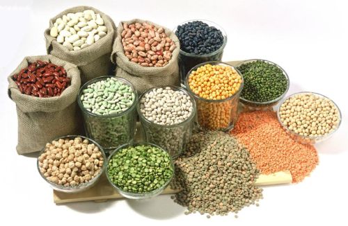 Indian Pulses