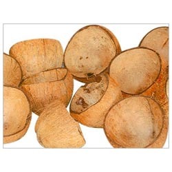 Natural Raw Coconut Shells, Style : Dried