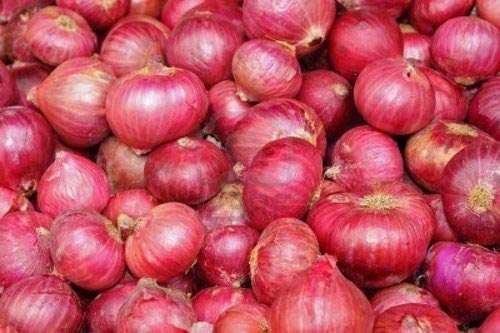 Fresh Red Onion