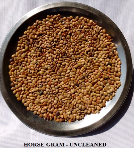 Horse Gram - Kollu - Kulthi