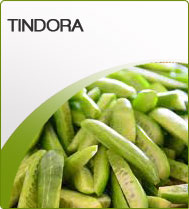 Frozen Ivy Gourd, For Cooking, Packaging Size : 1kg, 5kg