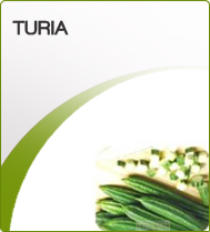 Frozen Ridge Gourd, Feature : Low Sodium, Natural Taste, Gluten Free