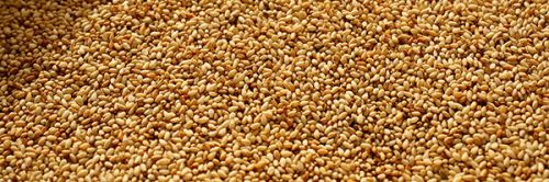 Sesame Seeds