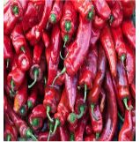 Dried Red Chilli