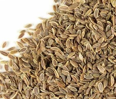 Dill Seeds, Shelf Life : 1 Year