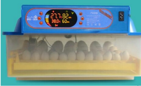 Fully Automatic Aluminum Mini Egg Incubator, For Farming, Certification : CE Certified, ISO Certified