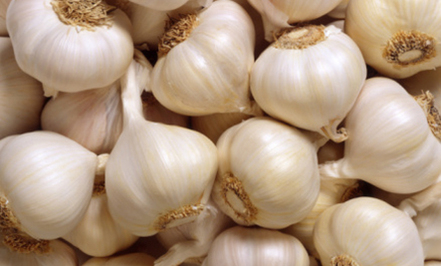 Fresh Garlic, Packaging Type : Bulk