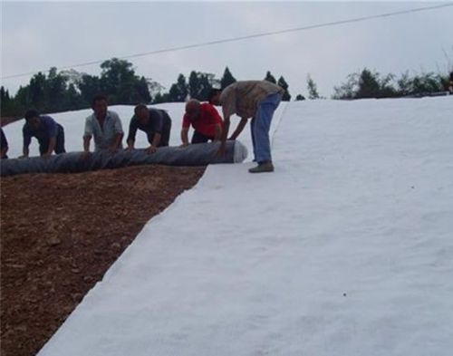 PP/PE Filament Spunbonded Needle Punched Geotextile